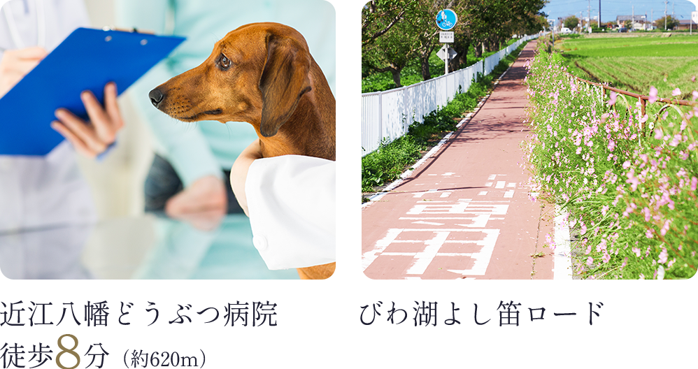 近江八幡どうぶつ病院