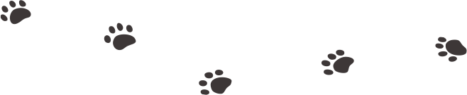 足あとイラスト